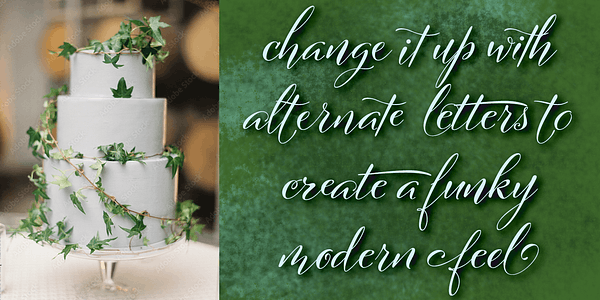 Card displaying Cinque Donne  typeface in various styles