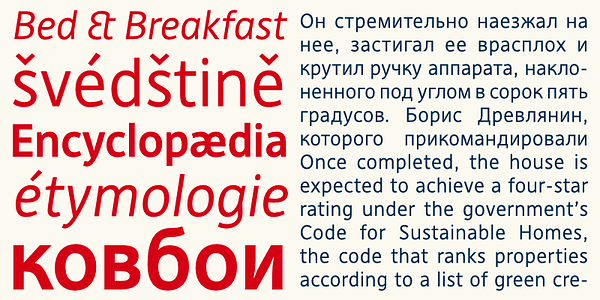 Card displaying DejaRip typeface in various styles
