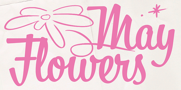 Card displaying Bistro Script typeface in various styles