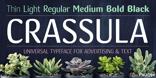 Card displaying Crassula typeface in various styles
