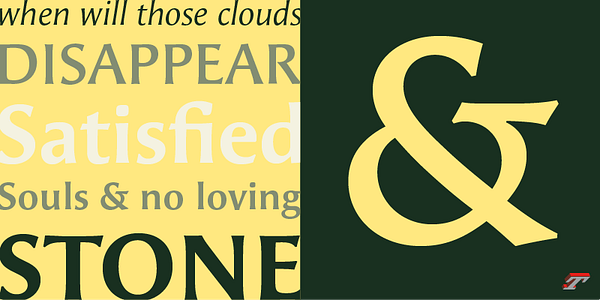 Card displaying Angie Sans typeface in various styles