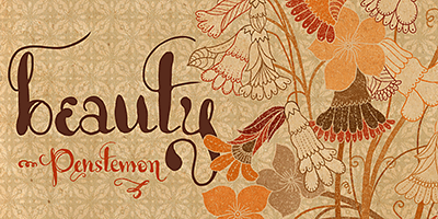 Card displaying Lady Dodo typeface in various styles