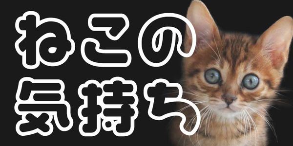 Card displaying VDL-MegaMaru Pop typeface in various styles