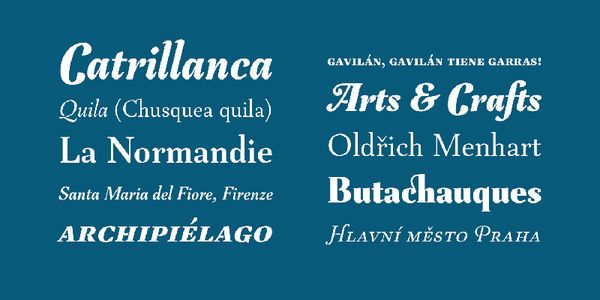 Card displaying Tejuela typeface in various styles