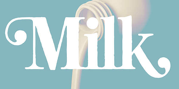 Card displaying Neato Serif typeface in various styles