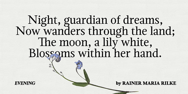 Card displaying Magneta typeface in various styles