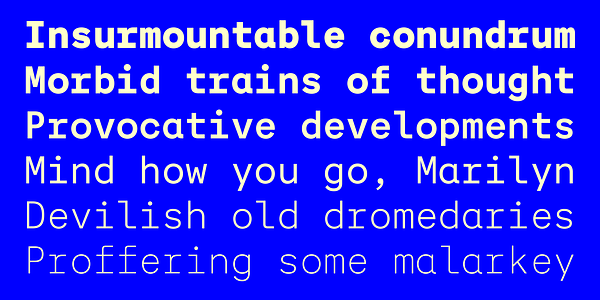 Card displaying Auger Mono typeface in various styles