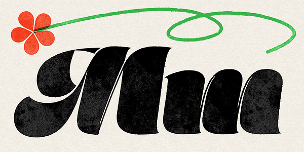 Card displaying Marshmallow typeface in various styles