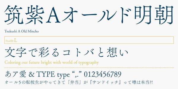 Card displaying FOT-TsukuAOldMin Pr6N typeface in various styles