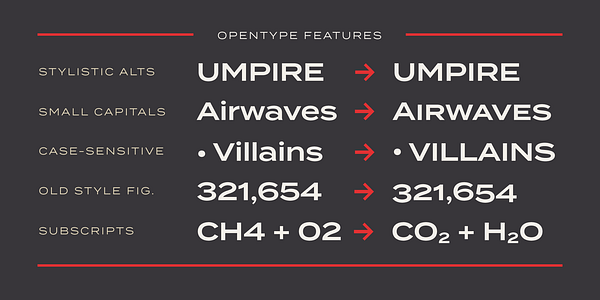 Card displaying Termina typeface in various styles