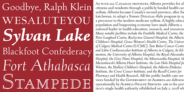Card displaying Albertan typeface in various styles