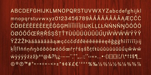 Card displaying Divulge typeface in various styles