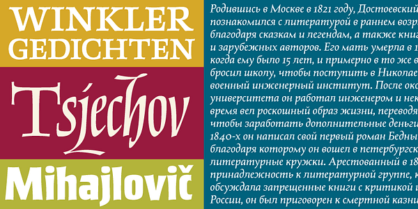 Card displaying Salden typeface in various styles