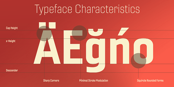 Card displaying Gineso typeface in various styles