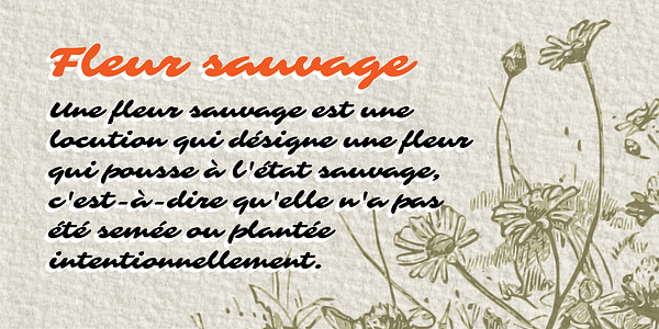 Card displaying Sarina typeface in various styles