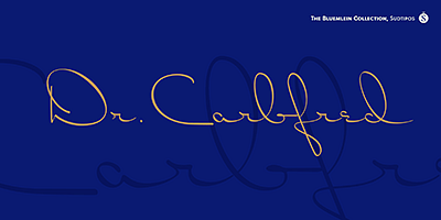 Card displaying Bluemlein Script Collection typeface in various styles