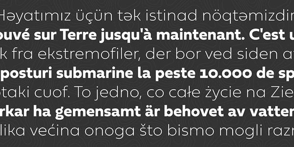 Card displaying Fieldwork typeface in various styles