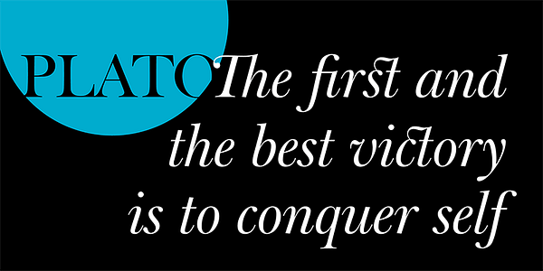 Card displaying Big Moore typeface in various styles