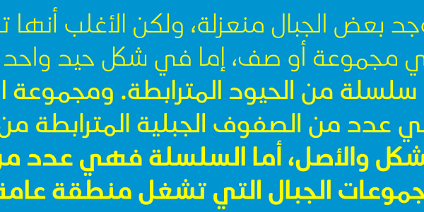 Card displaying Co Arabic typeface in various styles