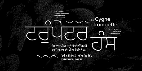 Card displaying Greycliff Gurmukhi CF typeface in various styles
