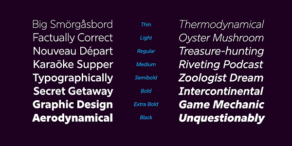 Card displaying Rig Sans typeface in various styles