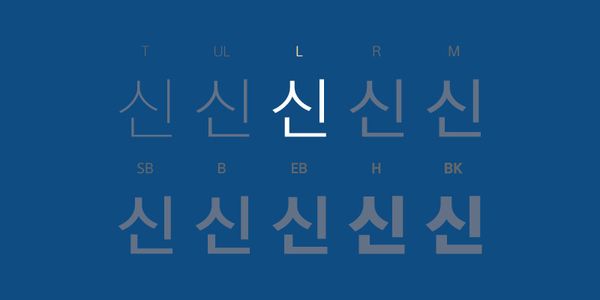 Card displaying Rix Sin Go SE  typeface in various styles