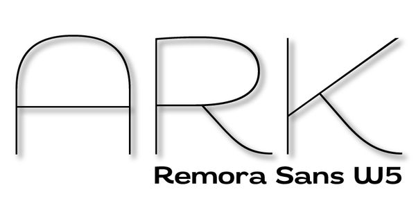 Card displaying Remora Sans typeface in various styles