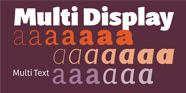 Card displaying Multi Display typeface in various styles
