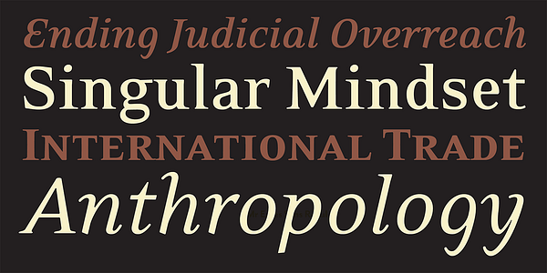 Card displaying Eidetic Neo typeface in various styles