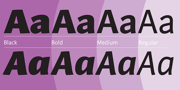 Card displaying Arzachel typeface in various styles