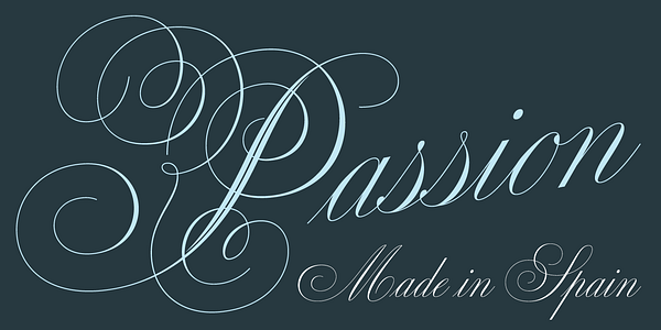 Card displaying Medusa typeface in various styles