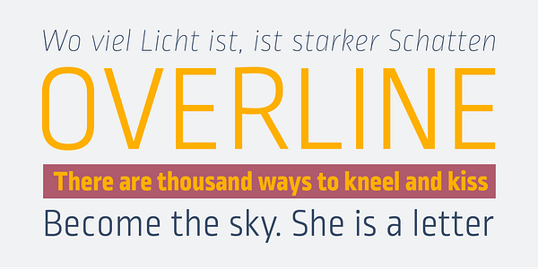 Card displaying Ropa Sans typeface in various styles