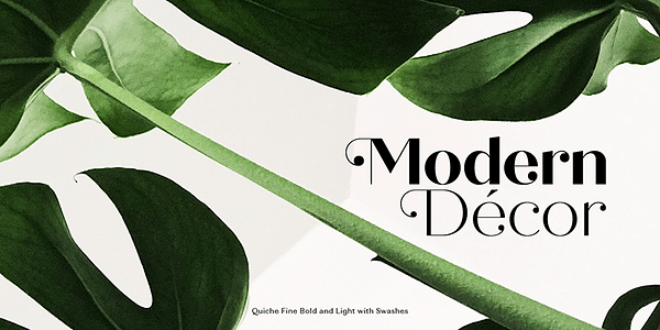 Card displaying Quiche Display typeface in various styles