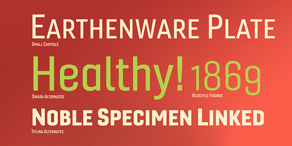 Card displaying Gineso typeface in various styles