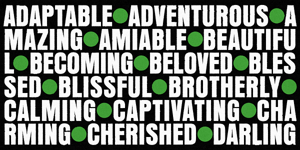 Card displaying Anzeigen Grotesk typeface in various styles