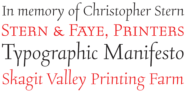 Card displaying Stern Pro typeface in various styles