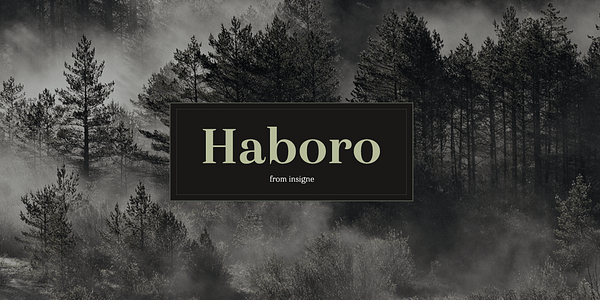 Card displaying Haboro typeface in various styles