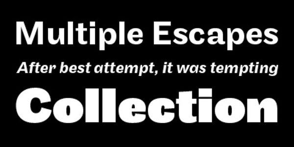 Card displaying Maple typeface in various styles