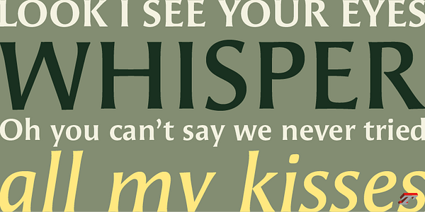 Card displaying Angie Sans typeface in various styles