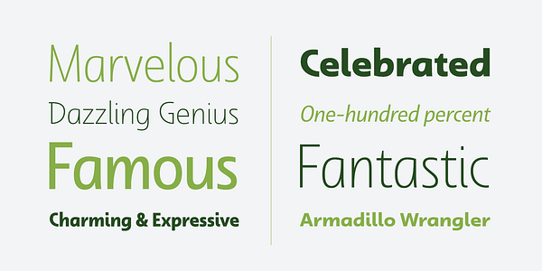 Card displaying Dulcian typeface in various styles