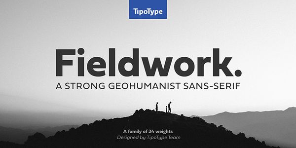 Card displaying Fieldwork typeface in various styles