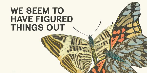 Carte présentant la police de caractères Cardigan dans différents styles