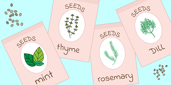 Card displaying Indie Flower typeface in various styles