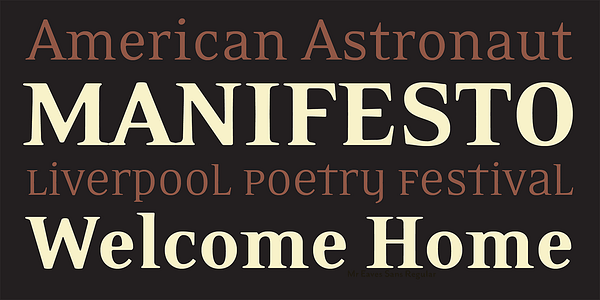 Card displaying Eidetic Neo typeface in various styles