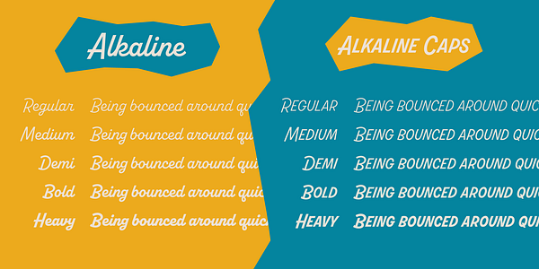 Card displaying Alkaline typeface in various styles
