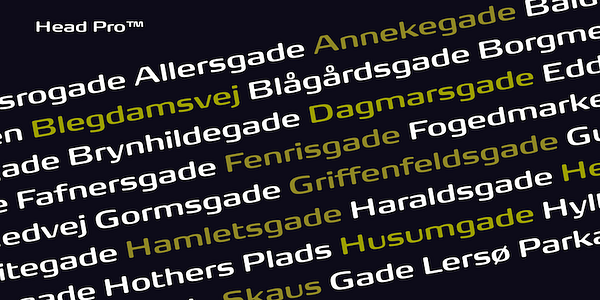 Card displaying FP Head typeface in various styles