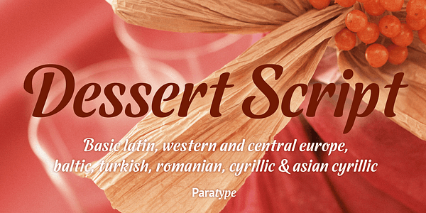 Card displaying Dessert Script typeface in various styles