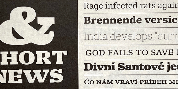 Card displaying Molto typeface in various styles