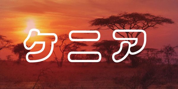 Card displaying VDL-LogoMaru Pop typeface in various styles