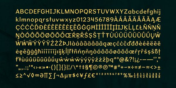 Card displaying Sweater School typeface in various styles